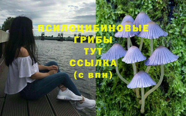мяу мяу кристалл Алексеевка